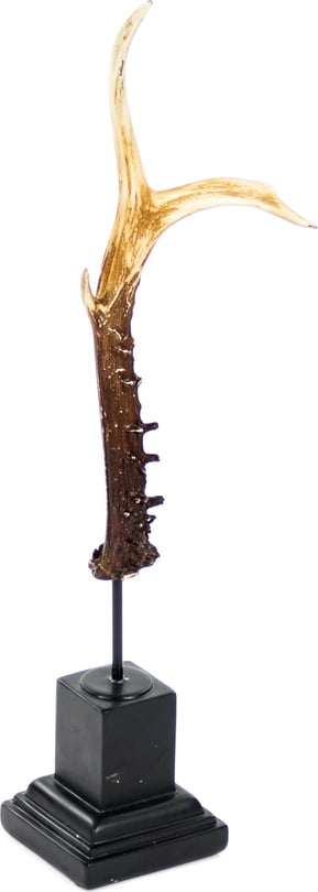 Antler with Base - Thumbnail 2