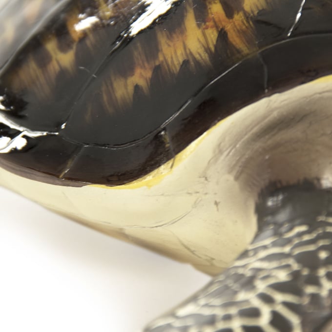 Zentique Sea Turtle Sculpture - Thumbnail 4