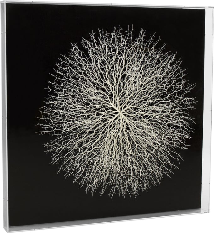 Zentique Abstract Branches