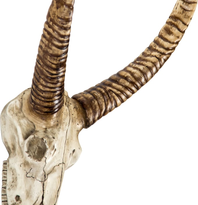 Goat Skull Wall Decor - Thumbnail 2