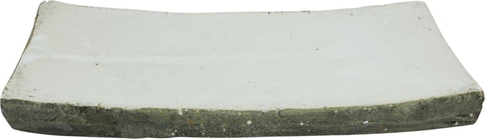 Zentique Dish - Thumbnail 2