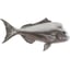 Silver Leaf
