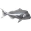 Polished Aluminum