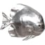 Silver Leaf