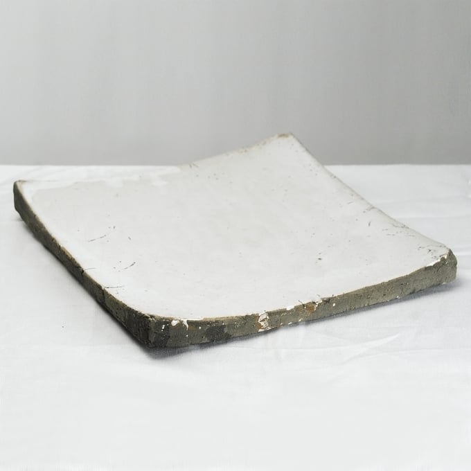 Zentique Dish
