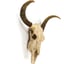 Antique Off-White