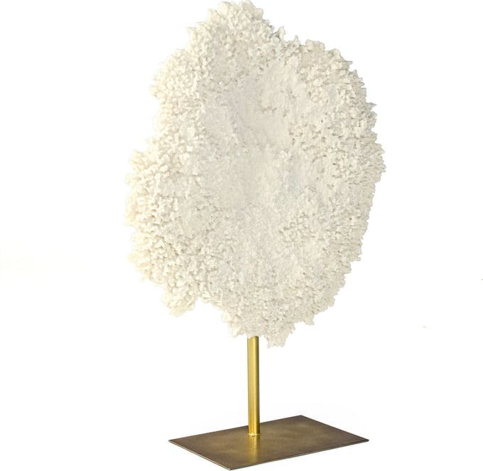 Zentique Coral on Base
