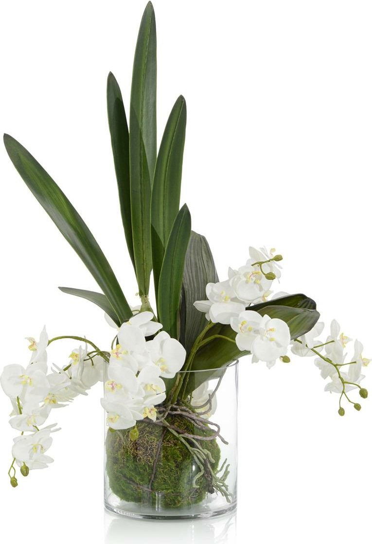 John-Richard Mossy Orchids