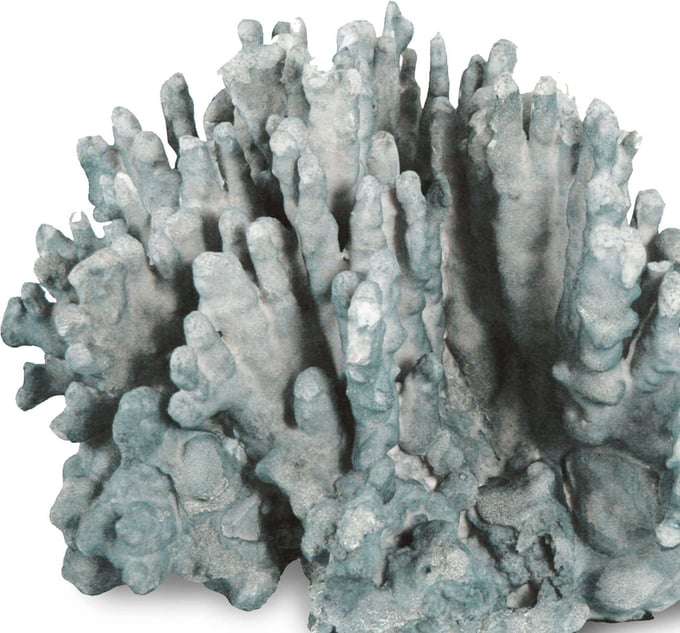 Coral Art Piece Large - Thumbnail 4