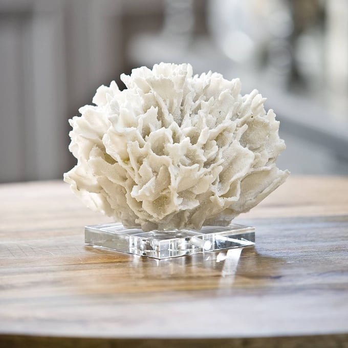 Regina Andrew Ribbon Coral