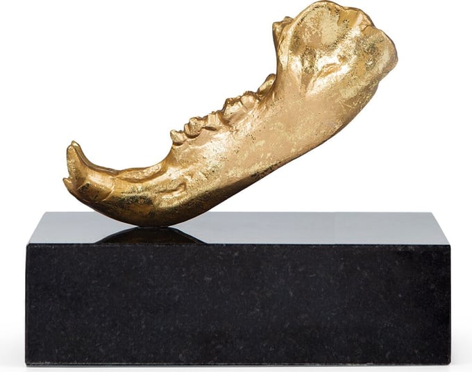 Villa & House Mithra Statue
