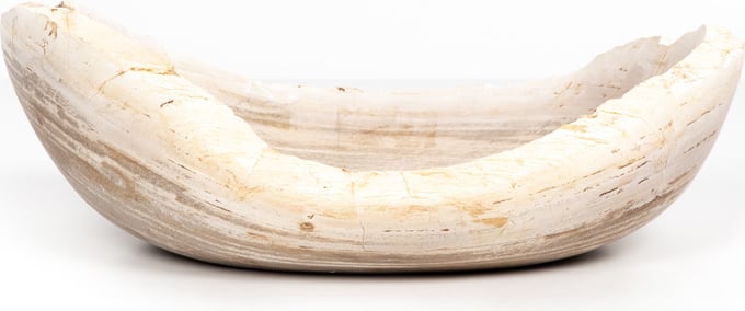 Oval Petrified Wood Bowl - Thumbnail 2