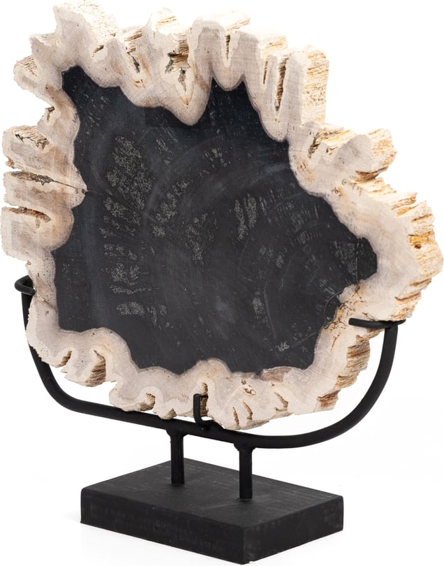 Four Hands Palu Petrified Wood Organic Sculpture Dark - Thumbnail 5