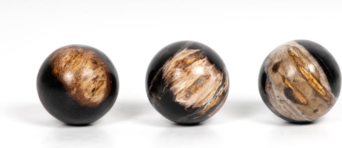Petrified Wood Balls (Set of 3) - Thumbnail 2