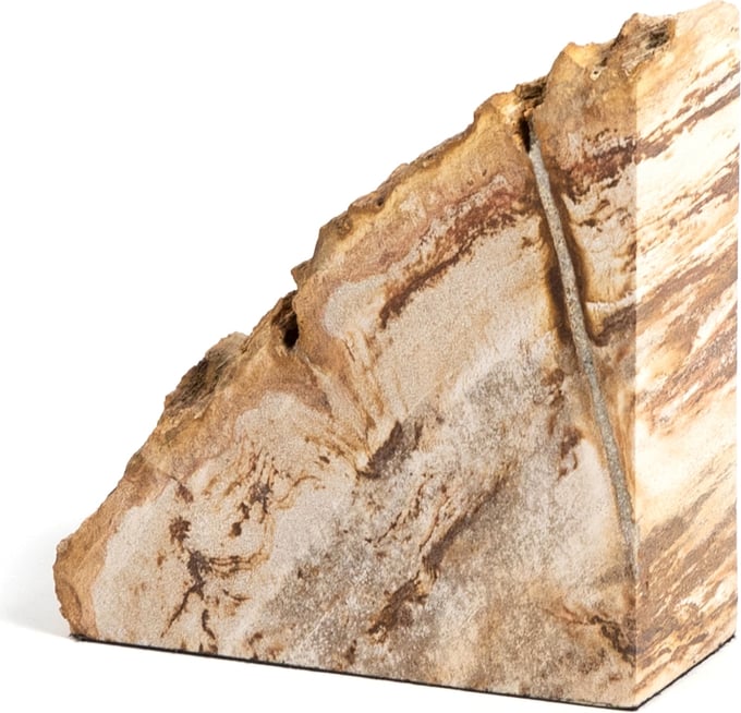 Petrified Wood Book Ends