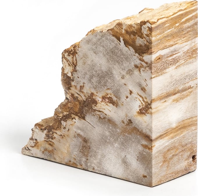 Petrified Wood Book Ends - Thumbnail 5