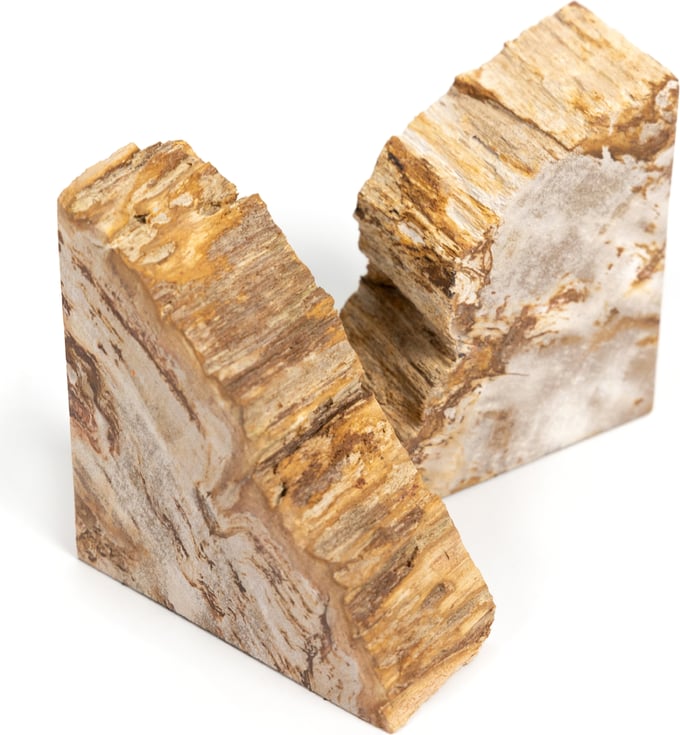 Petrified Wood Book Ends - Thumbnail 4