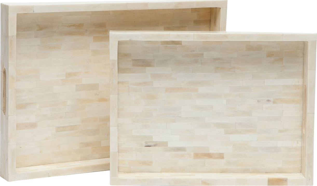 Dakota Tray (Set of 2)
