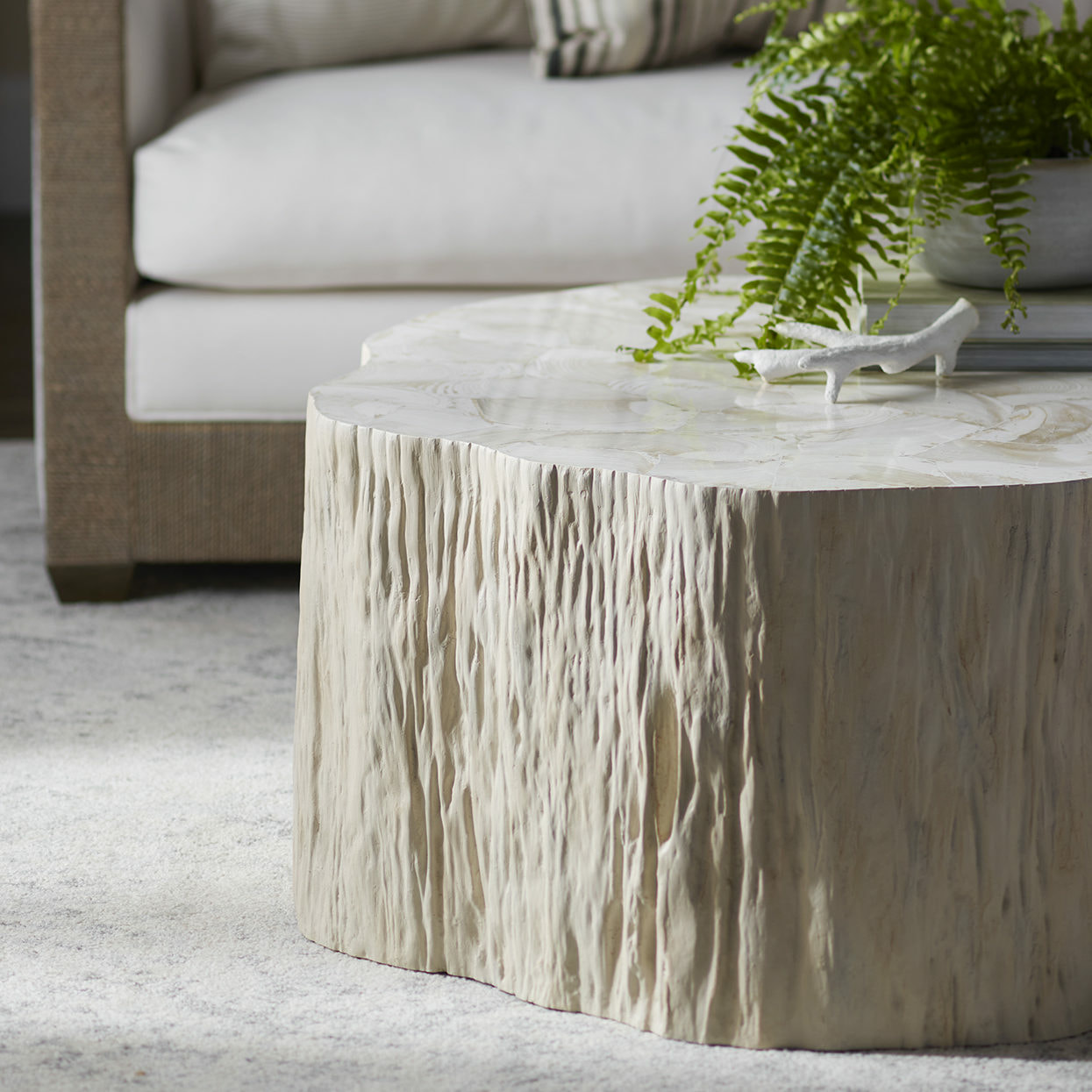 Palecek Camilla Fossilized Clam Coffee Table | Layla Grayce