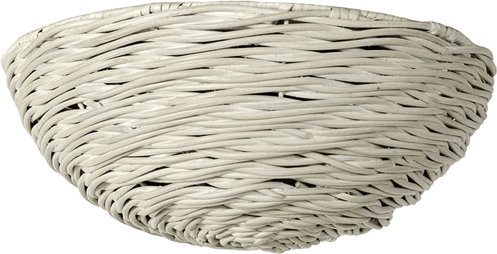 Wisteria Flush Mount