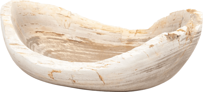 Oval Petrified Wood Bowl