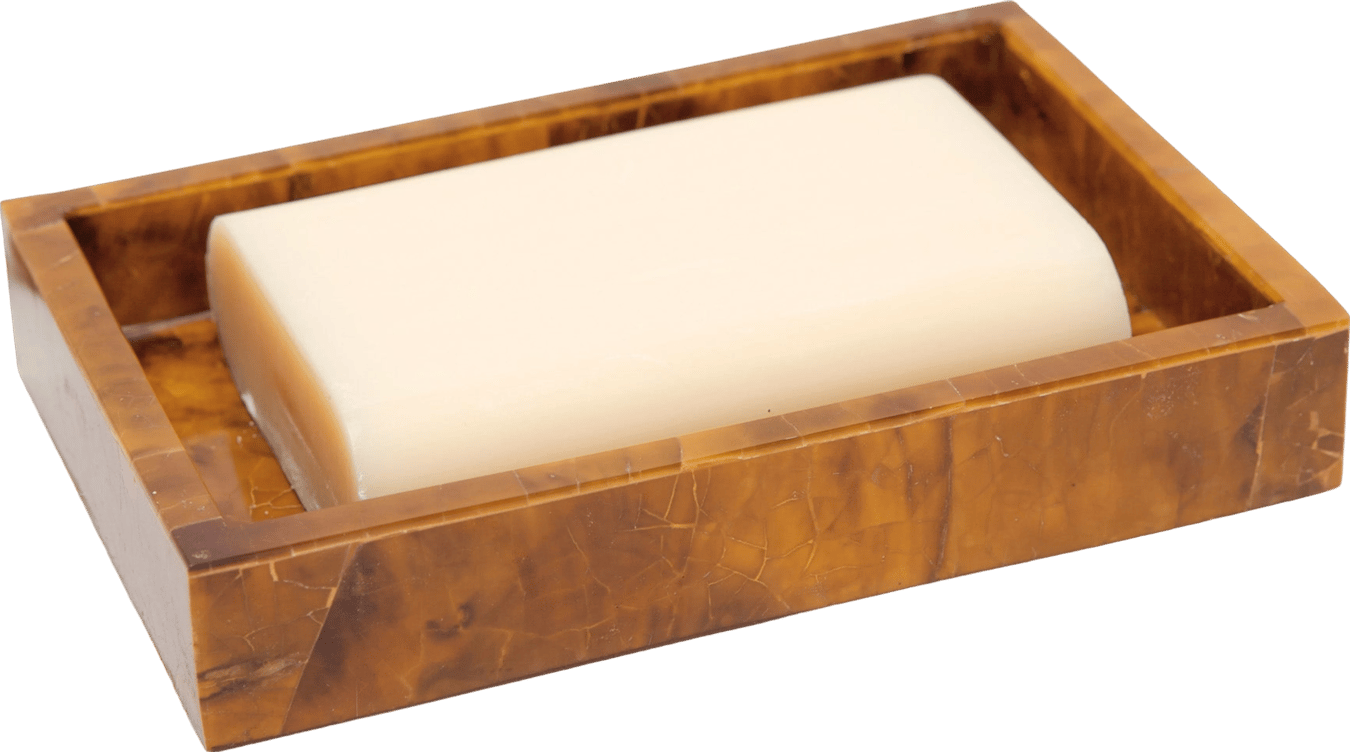 Cannes Young Pen Shell Soap Dish