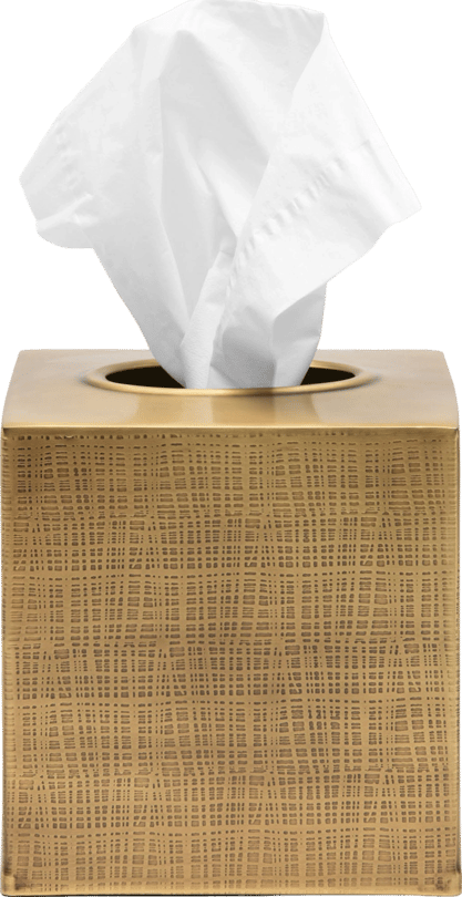 Pigeon & Poodle Remy Tissue Box - Thumbnail 3