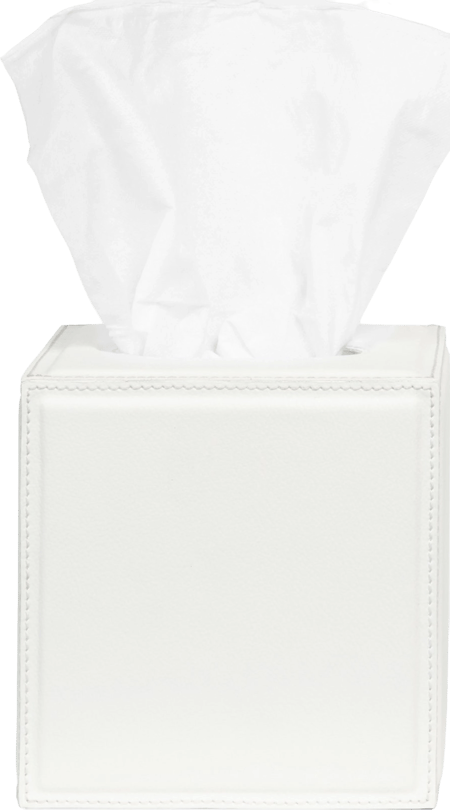 Pigeon & Poodle Rothwell Tissue Box