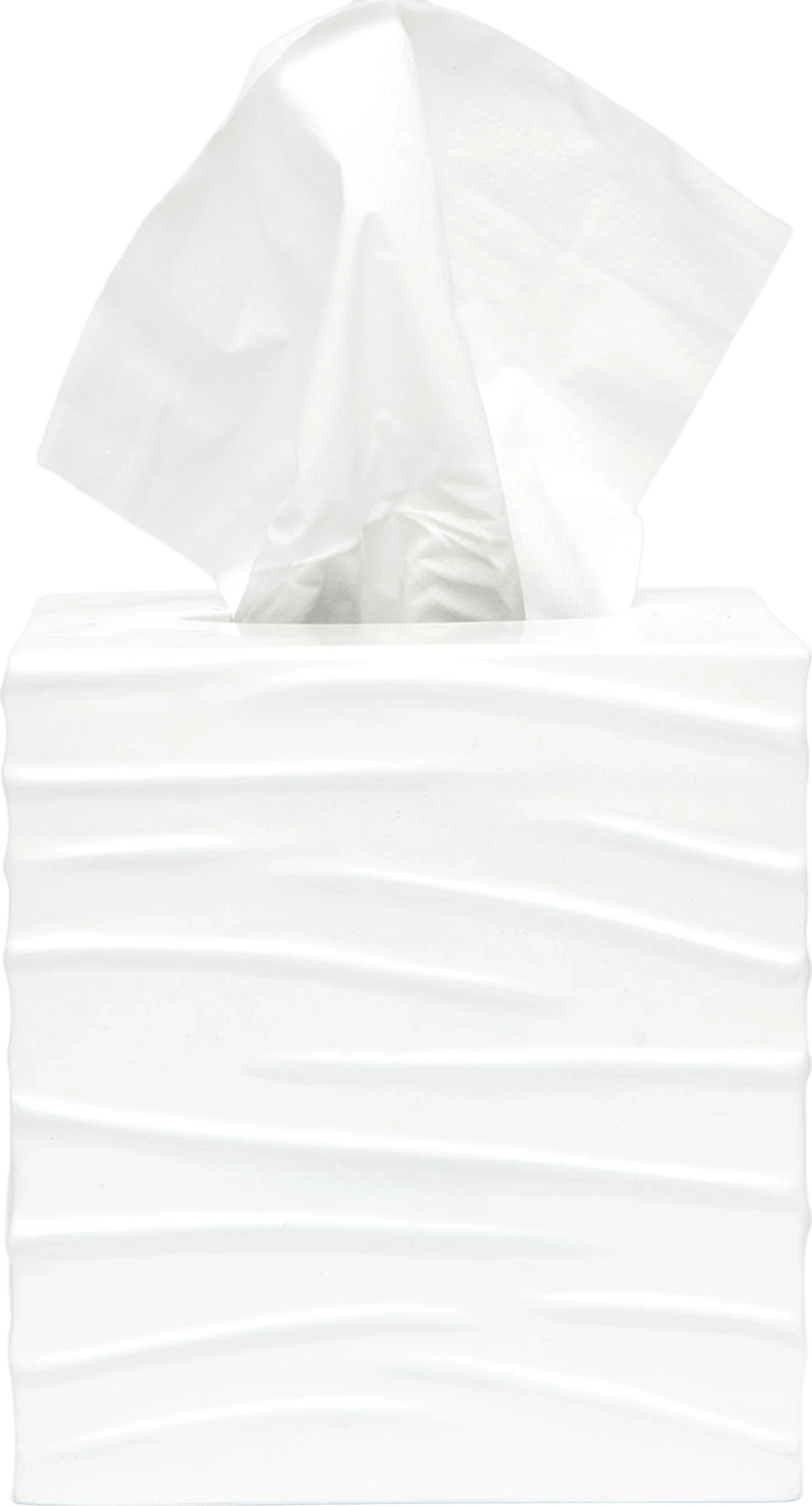 Pigeon & Poodle Solin Tissue Box
