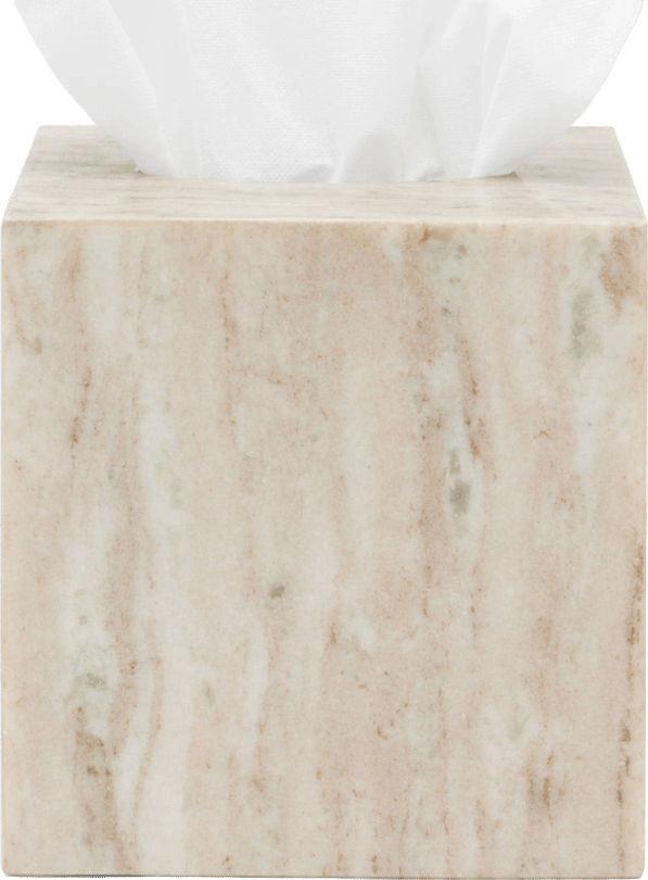Pigeon & Poodle Athlone Tissue Box
