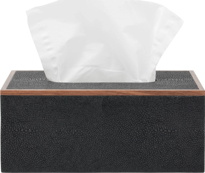 Pigeon & Poodle Manchester Tissue Box