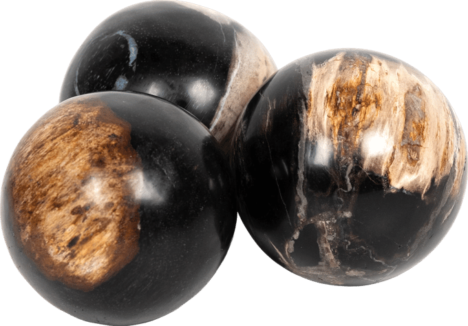 Petrified Wood Balls (Set of 3)