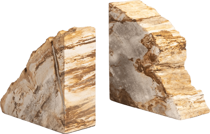 Petrified Wood Book Ends - Thumbnail 3