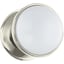 Polished Nickel