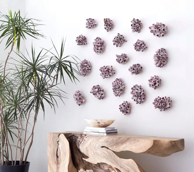 Phillips Collection Barnacle Cluster Wall Art