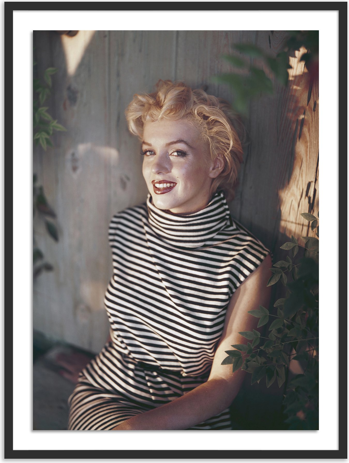 292 Marilyn Fields Stock Photos, High-Res Pictures, and Images - Getty  Images