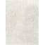 Ivory, Off-White