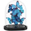 Blue, Black, Clear