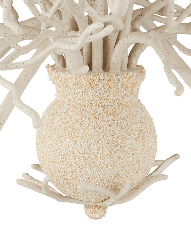 Seaward Chandelier - Thumbnail 5