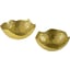 Metallic Brass