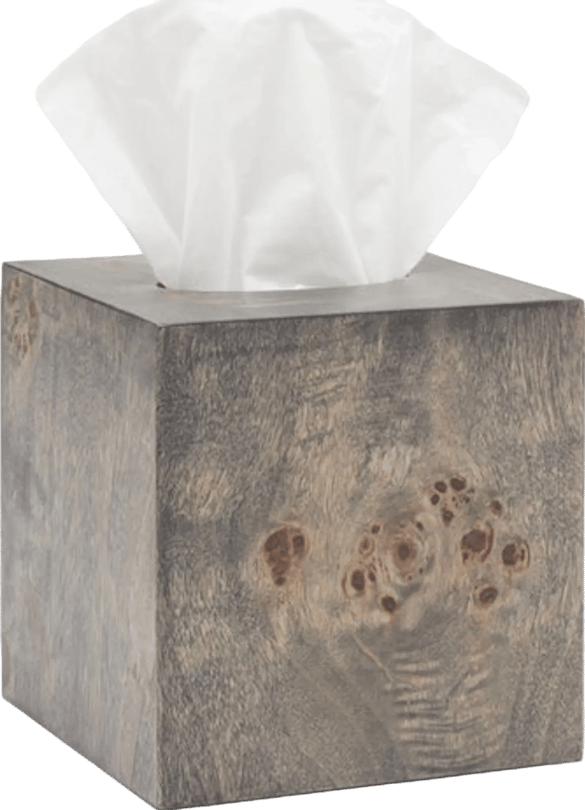 Pigeon & Poodle Bern Tissue Box | Layla Grayce
