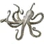 Pewter