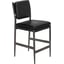 Steel Gray Powder Coat, Ebony Black