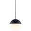 Polished Nickel, Black
