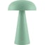 Light Green, White