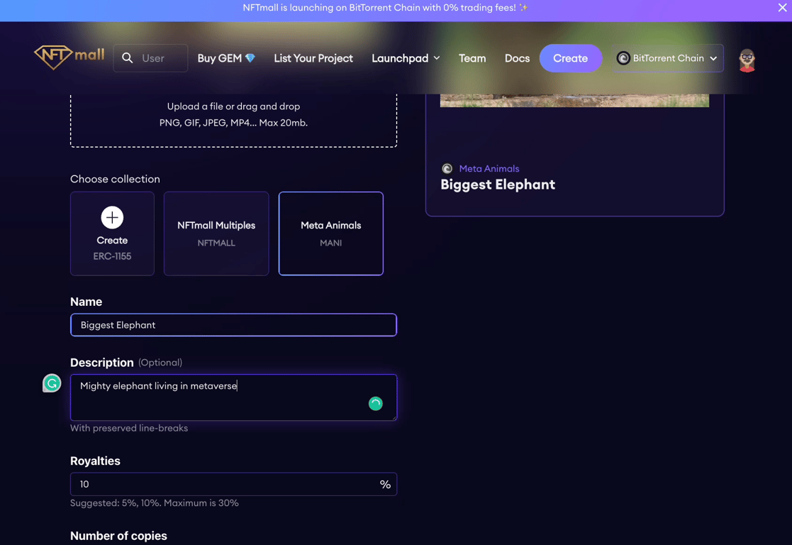 Screen Shot - Minting ERC1155 NFT