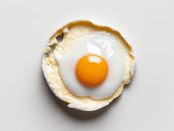 Premium Free ai Images | fried egg isolated on white background top view