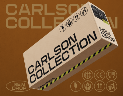 ProVisual — Long Corrugated Carton Box 3D mockup and 3D model