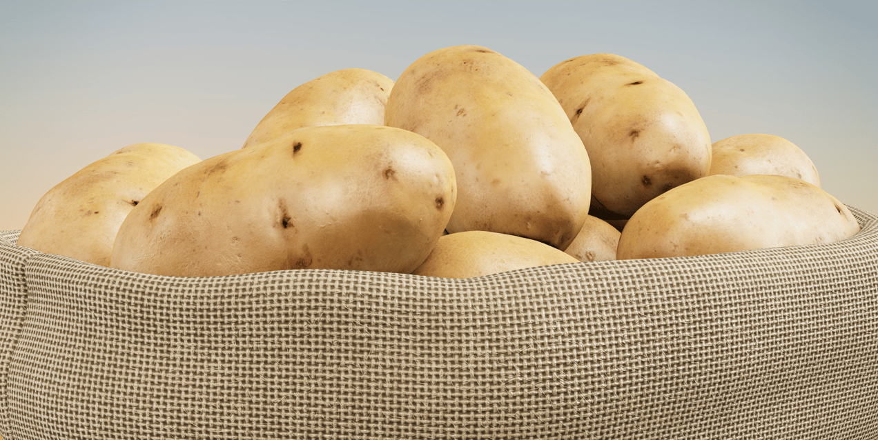 Sack with Potatoes. 3D model. ProVisual.