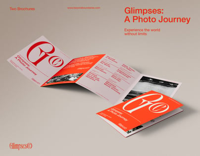 ProVisual — Brochure Mockup 3D mockup and 3D model